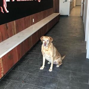 Meet your Posher, Jane